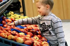 Projekt Ovoce do škol dá větší šance českým pěstitelům, vláda změnila podmínky