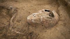 bitva u waterloo belgie ostatky lebka