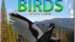 Wildlife Explorer: Birds of America