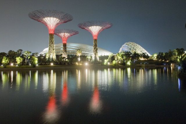 Obrazem: V Singapuru postavili pozoruhodné zahrady - ČTK