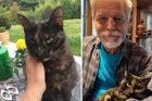 První kočka Česka uhynula, tvrdí deník. Micka Pavlových byla poslední dny nemocná