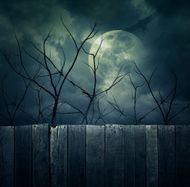 halloween, k citátu, žena.cz