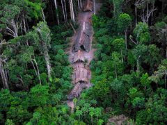 Fotky amazonského kmene pořídila organizace Survival International, která domorodé kmeny mapuje.