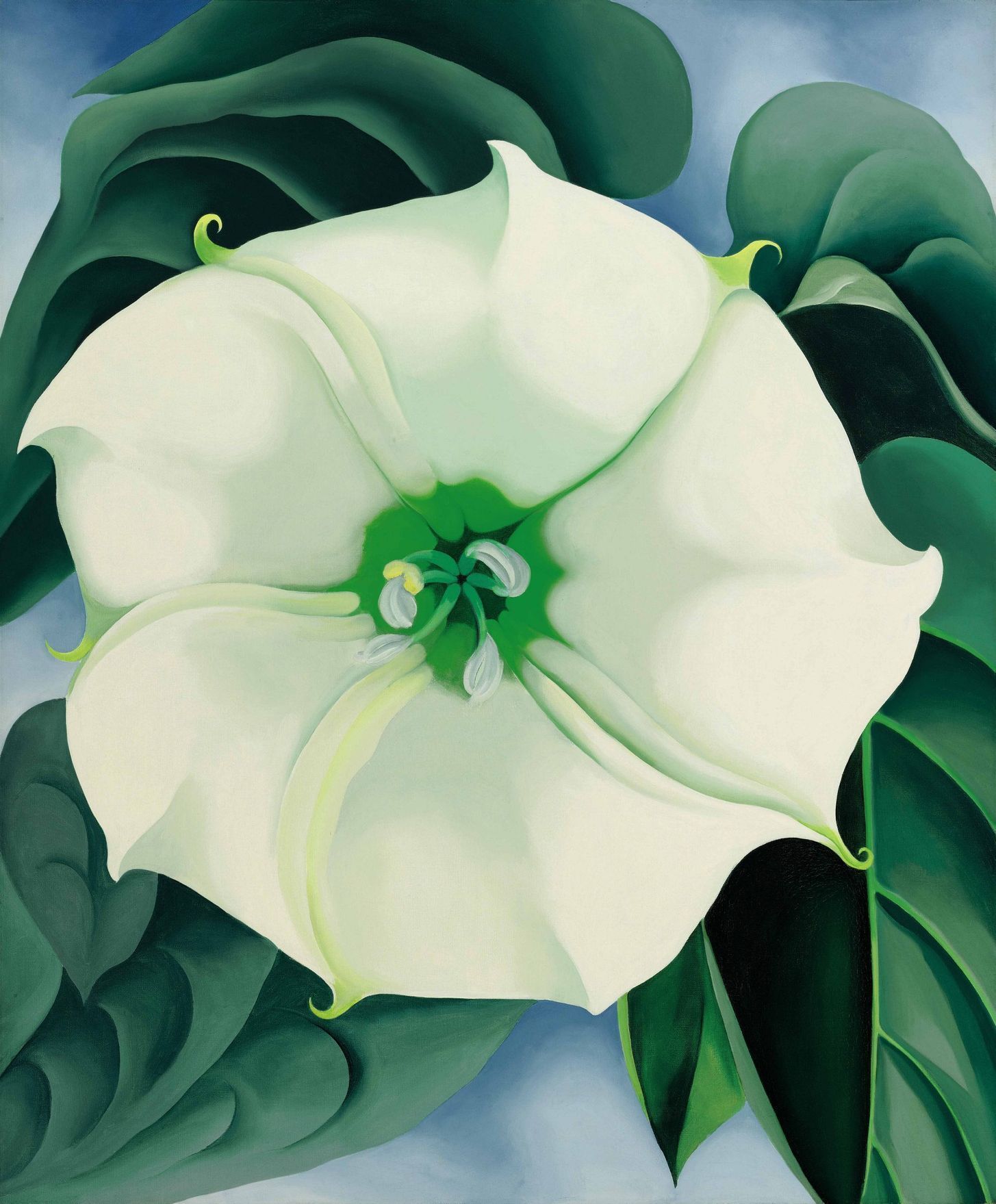 Georgie O'Keeffe: Jimson Weed/White Flower No.1