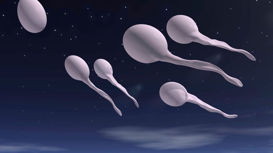 Čeští muži mají stále méně spermií.