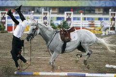 Koně mají olympijský dopingový skandál. Bylo jich šest