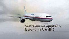 Sestřelení malajsijského letounu na Ukrajině - ikona