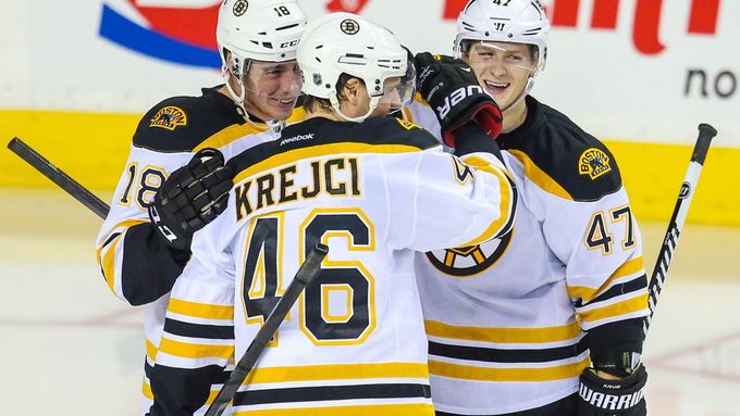 David Krejčí chyběl v sestavě Bruins už dvanáct zápasů v řadě