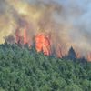 Požár lesa na Rokycansku