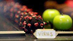 Čokoládový koronavirus v pražské restauraci Černá Madona