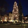 Vánoční stromy - Vsetín