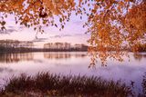 Podzimní soumrak u Turyňského rybníka na okraji Kamenných Žehrovic. Na Kladensku mu ovšem málokdo řekne jinak než Záplavy.