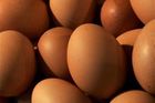 Německá vejce s rakovinou spustila poplach u inspektorů