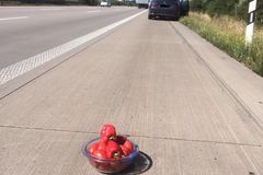 Řidič z Litvy nenašel výstražný trojúhelník, při poruše na dálnici varoval ostatní miskou paprik