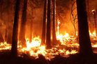 Na Berounsku hořel les, hasiči vyhlásili druhý poplachový stupeň