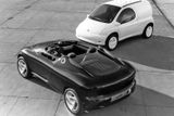 V roce 1990 předvedl Ford dvojici konceptů s designem studia Ghia a základem v tehdejší Fiestě. Zig byl černý roadster, Zag bílá dodávka. Cílem vozu bylo ukázat variabilitu platformy existujícího modelu. Do výroby ani jeden z nich nezamířil, v roce 2002 byla obě auta prodána v aukci.