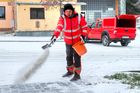 Zbýšov u Brna: Čerstvě napadaný sníh mizí pod vrstvou soli.