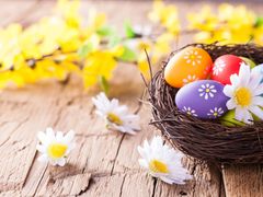 Pro většinovou společnost  jsou Velikonoce především oslavou jara. Bývalo to tak od pradávna.
