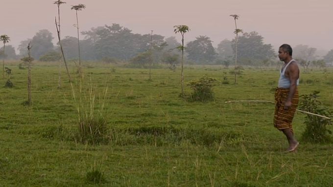 The Man Who Planted A Forest: Jadav Payeng