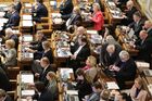"Křeček je katastrofa jako Válková". Opozice podpoří na ombudsmana Schorma či Matyse