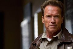 Na Schwarzeneggerovo auto při safari v JAR zaútočil slon. Posádka unikla, odnesly to prý kalhoty