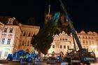 Na Staroměstském náměstí stojí vánoční <strong>strom</strong>, slavnostní rozsvěcení se konat nebude