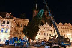 Na Staroměstském náměstí stojí vánoční strom, slavnostní rozsvěcení se konat nebude