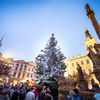 Vánoční stromy - Pardubice