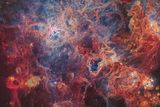 Steeve Body: Mlhovina Tarantule (NGC 2070) je velká, pouhým okem viditelná emisní mlhovina. Nachází se v severovýchodní části Velkého Magellanova oblaku. Zachycení složitých detailů a zářivých odstínů mlhoviny Tarantule je náročný úkol, který vyžaduje přesnost a trpělivost. (Nominace na cenu Astronomy Photographer of the Year 2023 v kategorii Hvězdy a mlhoviny).