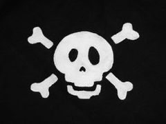 Pirátské strany vznikají v posledních letech po celé Evropě.