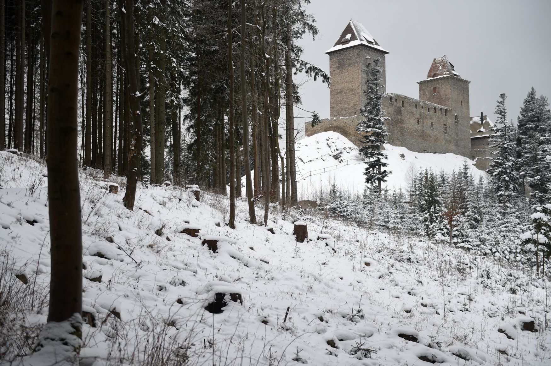 Hrad Kašperk v zimě