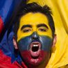 Fanoušci na Copa América 2015: ekvádorský fanoušek