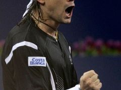 David Ferrer
