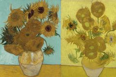 Pět světových muzeí bude na Facebooku vysílat své verze Van Goghových Slunečnic