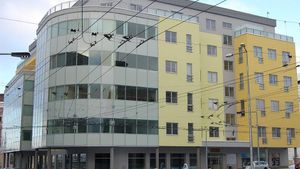 Kauza detailně