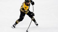 NHL Boston Pastrňák