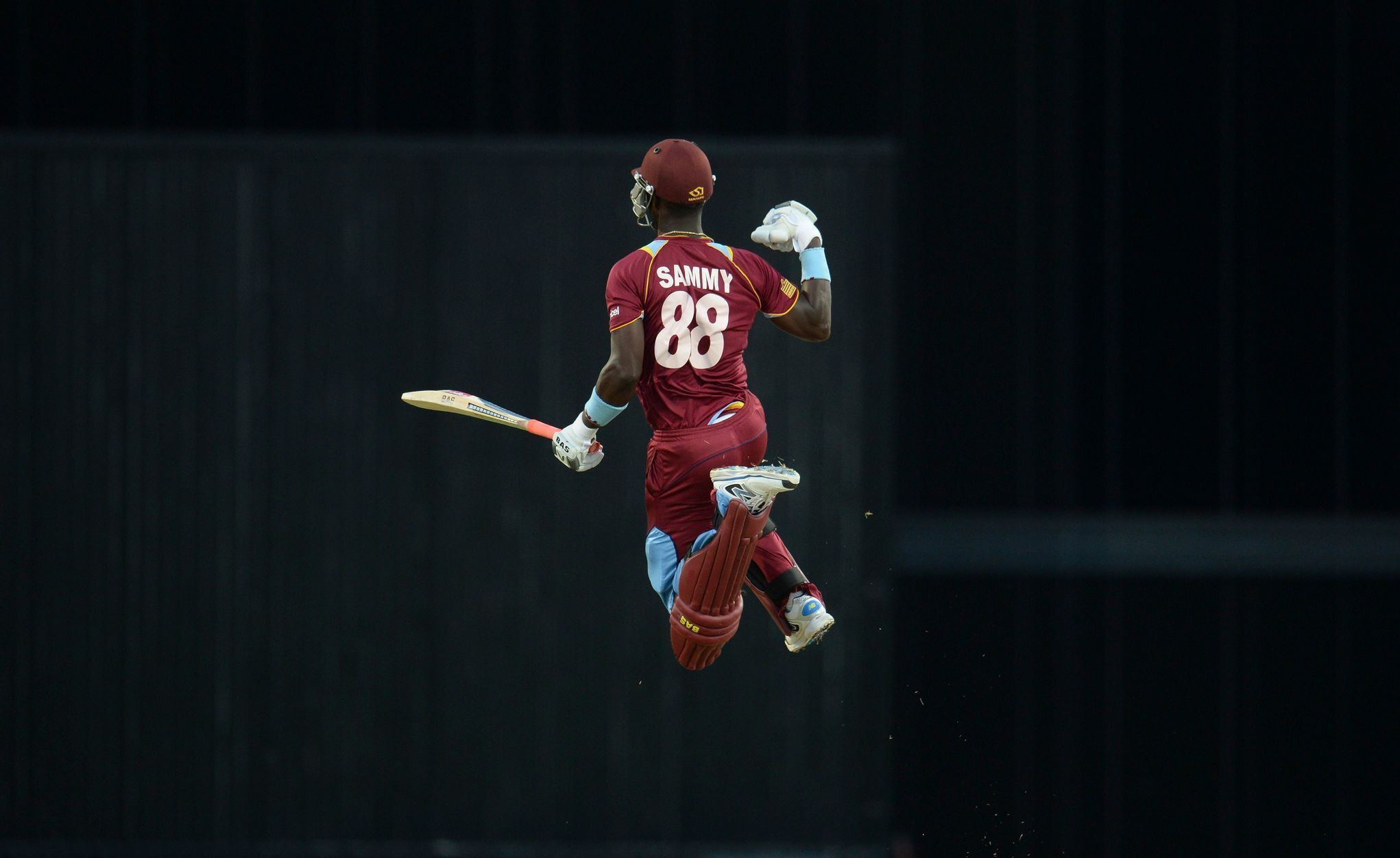 Nejlepší fotky roku 2014: Oslava v kriketu