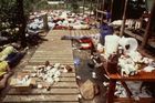 Fotogalerie / Jonestownský masakr / ČTK