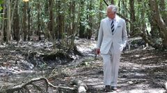 princ charles král Karel III. mangrovy Karibik