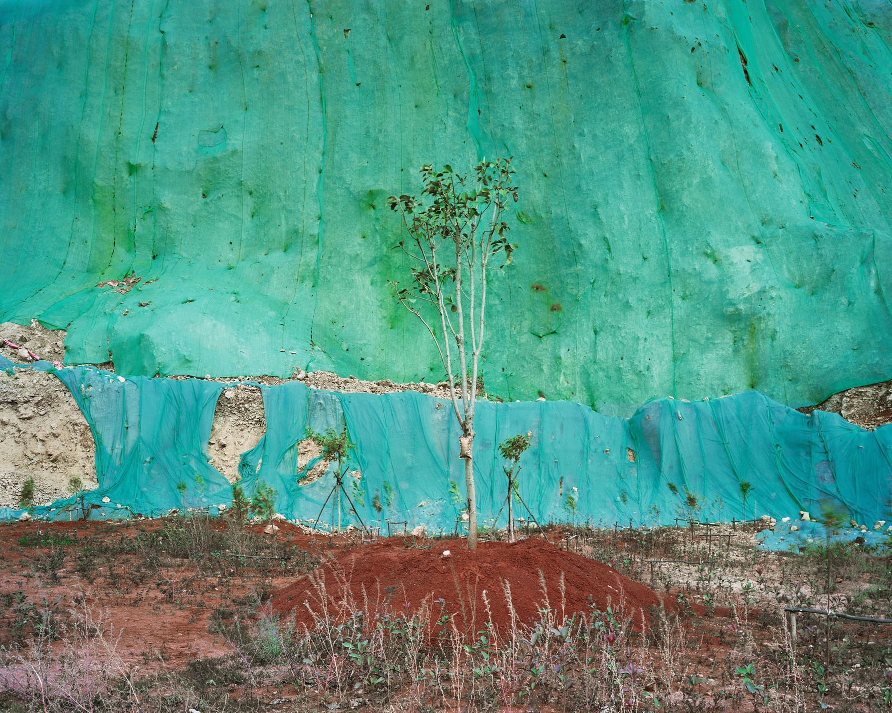 Nejlepší fotky krajiny a přírody, Sony World Photography Awards 2019