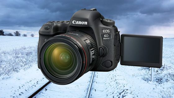 V galerii si můžete prohlédnout ukázkové snímky pořízené Canonem 6D Mark II.