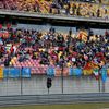 F1, VC Číny 2014, Ferrari: fanoušci