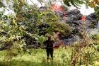 Havajská sopka Kilauea sílí, z domovů prchají další lidé. Podle vědců hrozí masivní únik magmatu