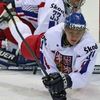 Martin Erat, hokejista českého národního týmu a Nashvillu Predators