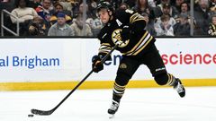 Boston Bruins 2022/23 David Pastrňák
