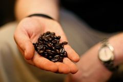 Uganda přijde o svou kávu. Kvůli změnám klimatu