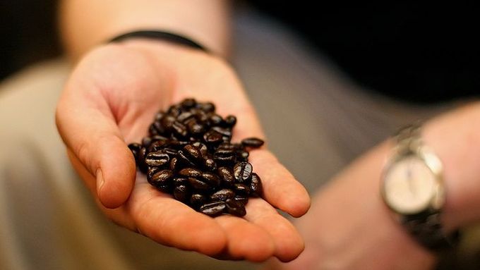 Peruánská káva díky globálnímu oteplování zraje kratší dobu