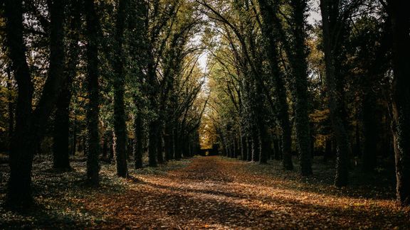 Bohnický hřbitov skrývá mimo jiné i legendu o Gavrilu Principovi, atentátníkovi ze Sarajeva.