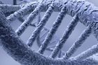 Nastala nová éra: vědci dokázali vytvořit mutaci lidského embrya, kterému odstranili vrozenou vadu