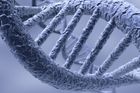 Muž, jenž pochopil DNA: Geny z vesmíru půjde vytisknout